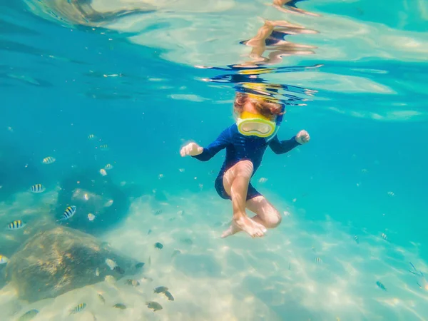 Unterwasser-Naturstudie, Junge schnorcheln im klaren blauen Meer — Stockfoto