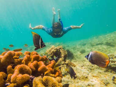 Genç erkekler renkli balık ve deniz yaşamı ile derin mavi okyanusta Sualtı mercan resifi peyzaj arka plan keşfetmek şnorkelli yüzme