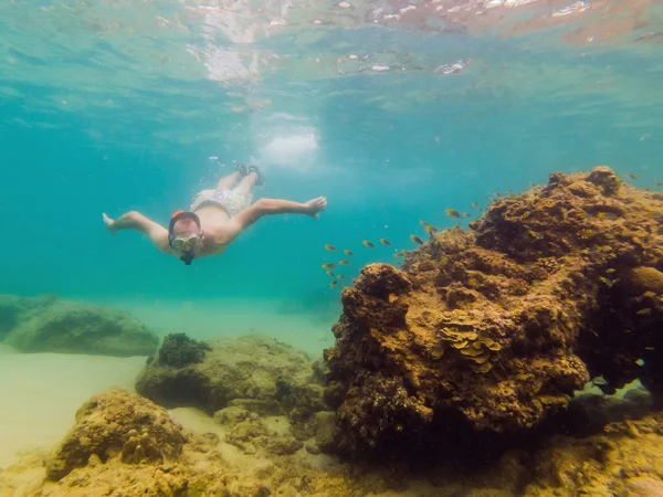 若い男性は、カラフルな魚や海洋生物との深い青色の海で水中サンゴ礁の風景の背景を探索シュノーケリング — ストック写真