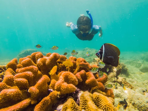 Young men snorkeling exploring underwater coral reef landscape background in the deep blue ocean with colorful fish and marine life — Stock Photo, Image