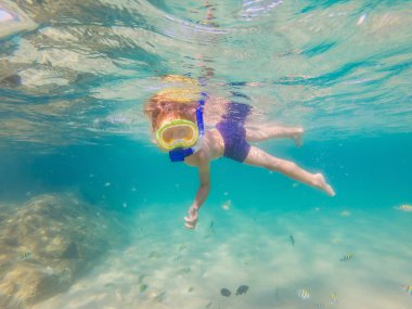 Sualtı doğa çalışması, açık mavi denizde çocuk şnorkelli yüzme