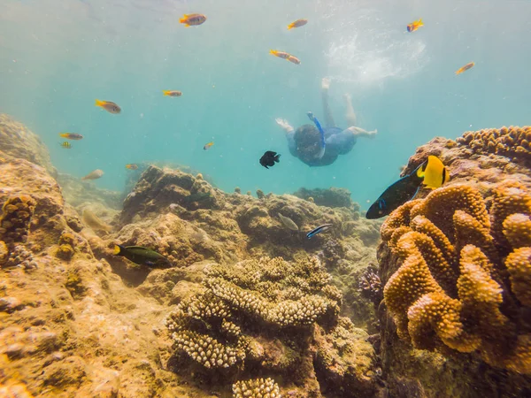 Jeunes hommes plongée en apnée explorant sous-marin récif corallien fond de paysage dans l'océan bleu profond avec des poissons colorés et la vie marine — Photo