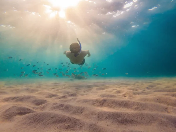 Junge Männer beim Schnorcheln erkunden Unterwasser-Korallenrifflandschaft Hintergrund im tiefblauen Ozean mit bunten Fischen und Meereslebewesen — Stockfoto