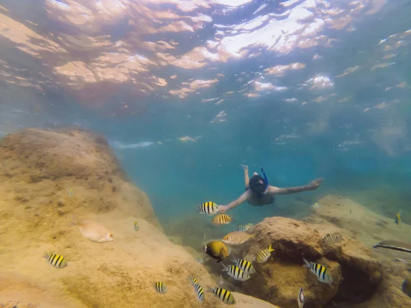 De nombreux poissons, anémones et créatures marines, plantes et coraux sous l'eau près du fond marin avec du sable et des pierres aux couleurs bleu et violet paysages marins, vues, vie marine — Photo