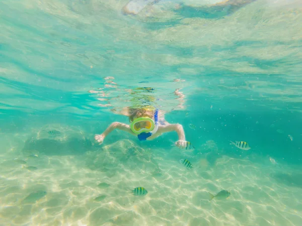 Estudio de la naturaleza submarina, niño buceando en mar azul claro — Foto de Stock