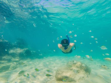 Genç erkekler renkli balık ve deniz yaşamı ile derin mavi okyanusta Sualtı mercan resifi peyzaj arka plan keşfetmek şnorkelli yüzme