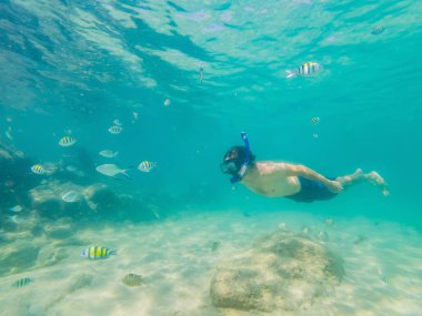 Genç erkekler renkli balık ve deniz yaşamı ile derin mavi okyanusta Sualtı mercan resifi peyzaj arka plan keşfetmek şnorkelli yüzme