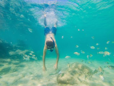 Genç erkekler renkli balık ve deniz yaşamı ile derin mavi okyanusta Sualtı mercan resifi peyzaj arka plan keşfetmek şnorkelli yüzme