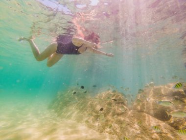 Sualtı tropikal okyanusta yüzmeye mutlu genç kadın