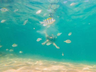 Sualtı tropikal okyanusta yüzmeye mutlu genç kadın