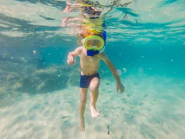 Underwater nature study, boy snorkeling in clear blue sea