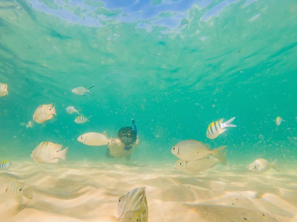 Jeunes hommes plongée en apnée explorant sous-marin récif corallien fond de paysage dans l'océan bleu profond avec des poissons colorés et la vie marine — Photo