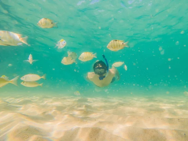 Fiatal férfiak snorkeling feltárása víz alatti korallzátony táj háttérben a mély kék óceán színes hal és a tengeri élet — Stock Fotó