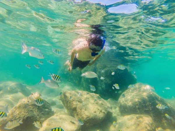 young men snorkeling exploring underwater coral reef landscape background in the deep blue ocean with colorful fish and marine life