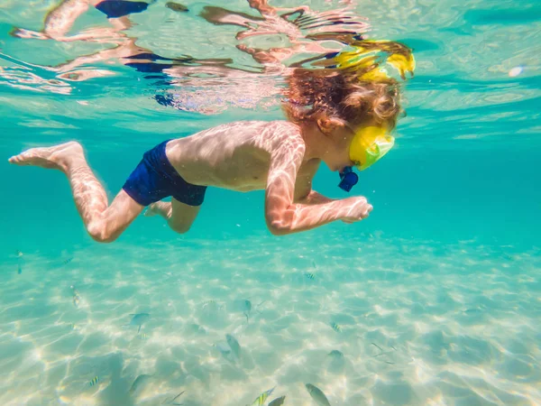 Underwater nature study, boy snorkeling in clear blue sea