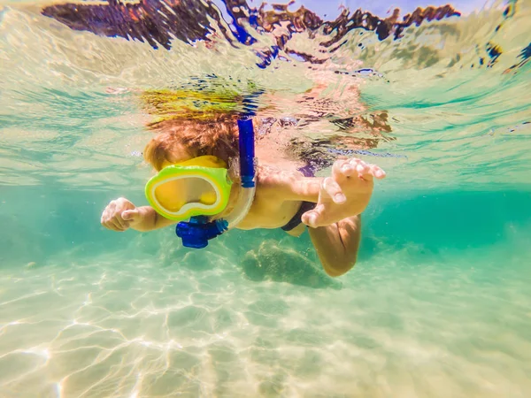 Underwater nature study, boy snorkeling in clear blue sea