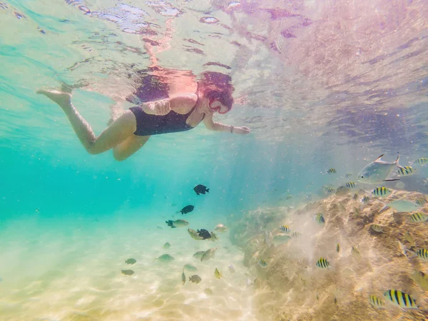 Feliz joven nadando bajo el agua en el océano tropical — Foto de Stock