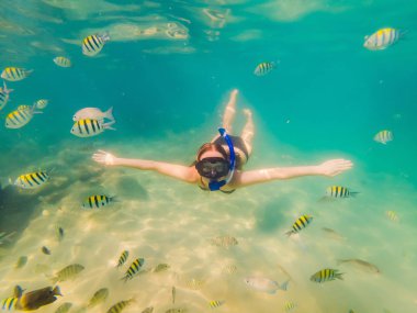 Sualtı tropikal okyanusta yüzmeye mutlu genç kadın