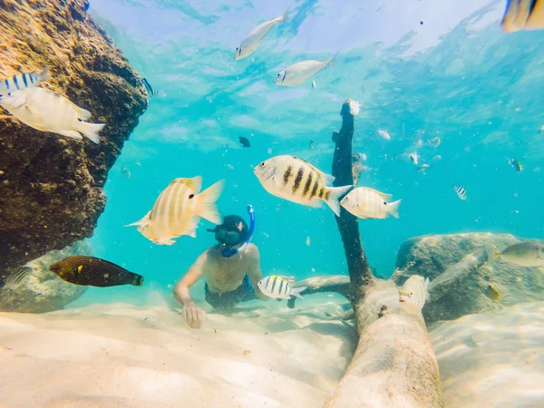 De nombreux poissons, anémones et créatures marines, plantes et coraux sous l'eau près du fond marin avec du sable et des pierres aux couleurs bleu et violet paysages marins, vues, vie marine — Photo