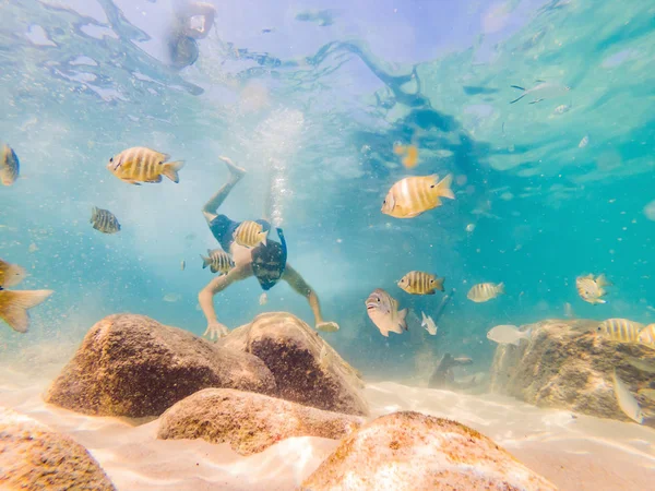 Junge Männer beim Schnorcheln erkunden Unterwasser-Korallenrifflandschaft Hintergrund im tiefblauen Ozean mit bunten Fischen und Meereslebewesen — Stockfoto