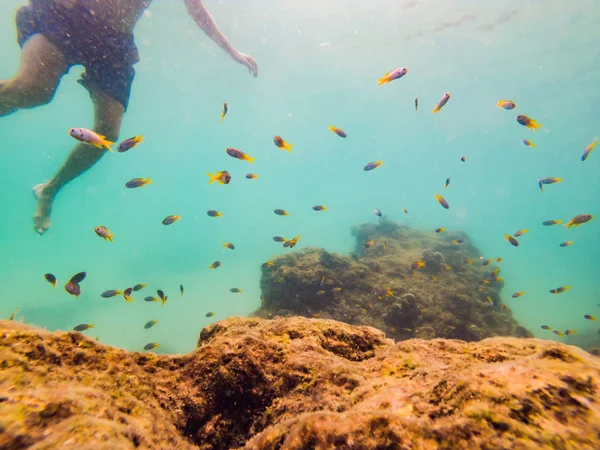 Jeunes hommes plongée en apnée explorant sous-marin récif corallien fond de paysage dans l'océan bleu profond avec des poissons colorés et la vie marine — Photo