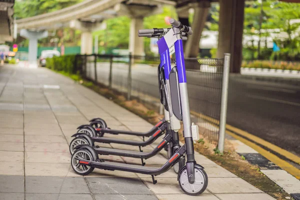 Skuter listrik untuk disewa. transportasi perkotaan. Electric Ride Sharing Scooters Lined Up and Ready to Rent — Stok Foto