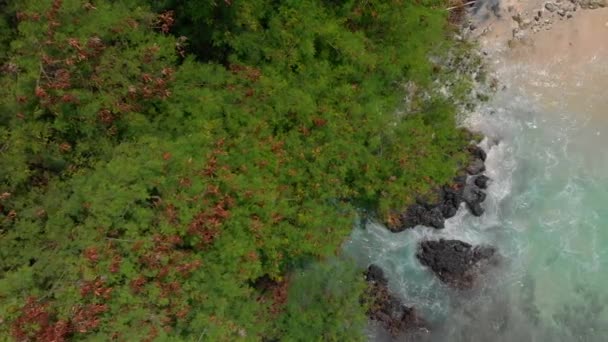 Lotnicze strzał fantastycznej plaży Blue Lagoon na wyspie Bali z krystalicznie czyste błękitną wodą i białym piaskiem otoczonym przez niesamowite czarne skały wulkaniczne — Wideo stockowe