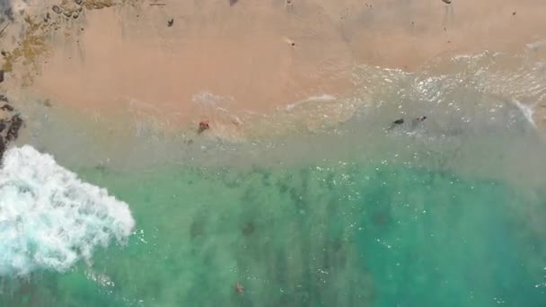 Aerial Shot av en fantastisk blå lagun strand på Bali Island med ett kristallklart blått vatten och vit sand omgiven av otroliga svarta vulkaniska klippor — Stockvideo