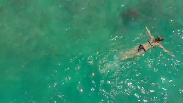 Aerial shot młodej kobiety snorkeling w otwartym morzu oglądanie korali i egzotyczne ryby — Wideo stockowe