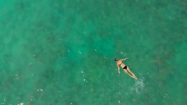 Повітряний знімок молодої жінки хропіння у відкритому морі спостерігаючи за коралами та екзотичними рибами — стокове відео