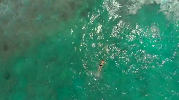 Foto aérea de una joven haciendo snorkel en un mar abierto observando corales y peces exóticos — Vídeos de Stock