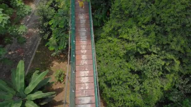 Foto aerea di un ragazzino che corre su un ponte sospeso sopra la giungla. Viaggiare nel sud-est asiatico concetto — Video Stock