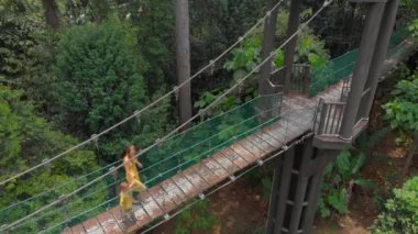 Ormanlar üzerinde bir suspention köprü üzerinde yürüyen genç bir kadın ve küçük oğlu havadan çekim. Tropik konseptinde tatil