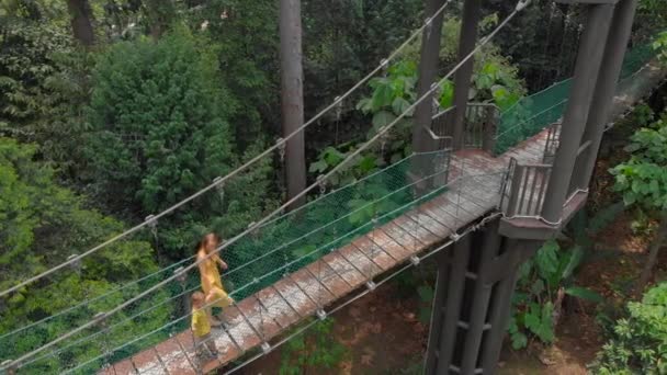 Vue aérienne d'une jeune femme et de son petit fils marchant sur un pont suspendu au-dessus des jungles. Vacances sous les tropiques concept — Video