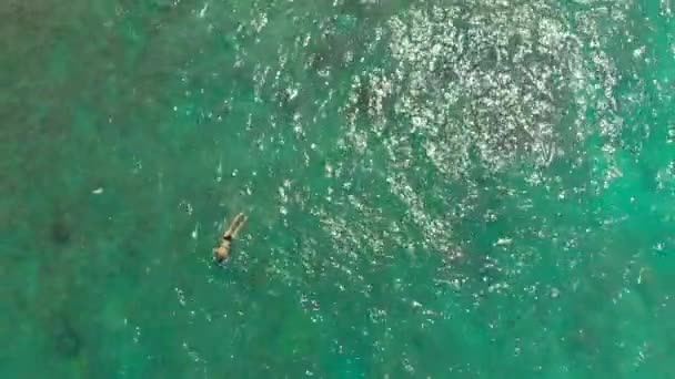 산호와 이국적인 물고기를 보고 열린 바다에서 스노클링을 하는 젊은 여성의 공중 촬영 — 비디오