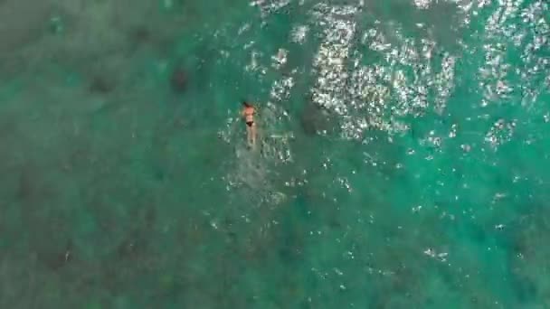 Foto aérea de una joven haciendo snorkel en un mar abierto observando corales y peces exóticos — Vídeos de Stock