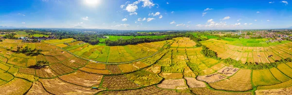 Foto de drone, colheita de arroz por agricultores locais — Fotografia de Stock