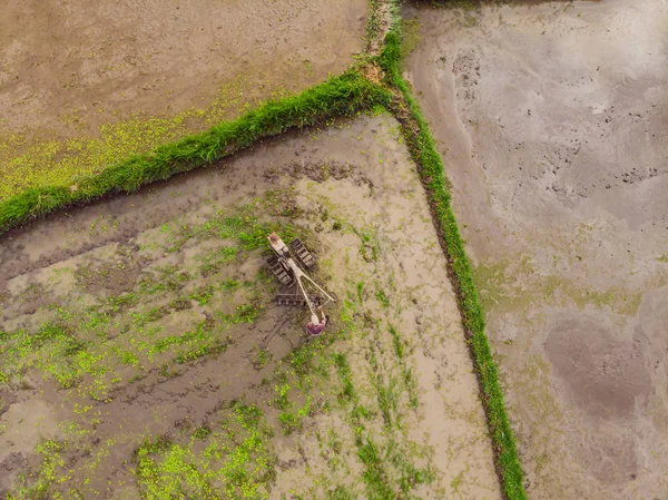 Ciągnika na polu ryżowym. Widok z drona — Zdjęcie stockowe