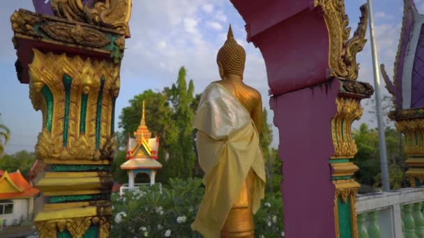 Scatto al rallentatore di piccole statue di Buddha nel tempio di Wat Srisoonthorn sull'isola di Phuket, Thailandia. Viaggio in Thailandia concetto — Video Stock