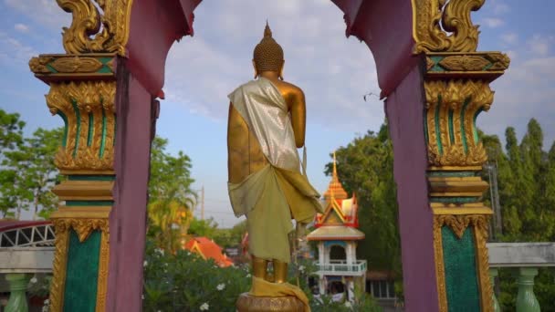Αργή βολή από μικρά αγάλματα του Βούδα στο ναό Γουάτ σιουκίνθορν στο Πουκέτ, Ταϋλάνδη. Ταξίδια στην Ταϊλάνδη έννοια — Αρχείο Βίντεο