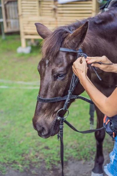 Garçon équitation, effectuer des exercices à cheval — Photo