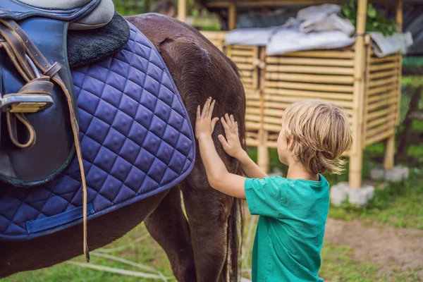 Fiú lovaglás, lóháton végzett gyakorlatok — Stock Fotó
