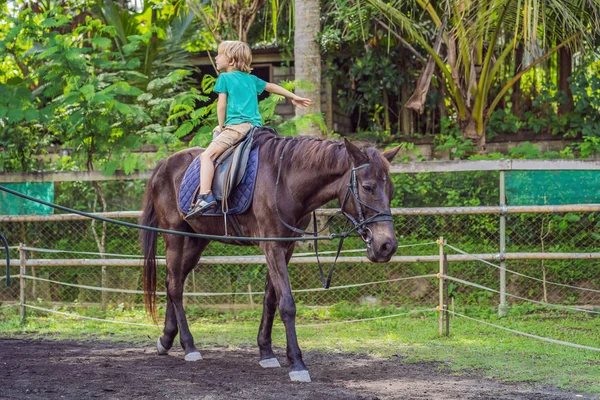 Ragazzo a cavallo, esecuzione di esercizi a cavallo — Foto Stock