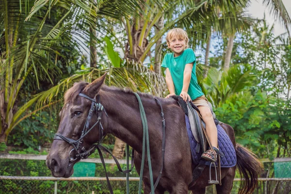 Garçon équitation, effectuer des exercices à cheval — Photo