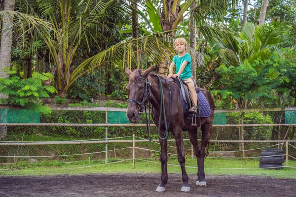 Ragazzo a cavallo, esecuzione di esercizi a cavallo — Foto Stock