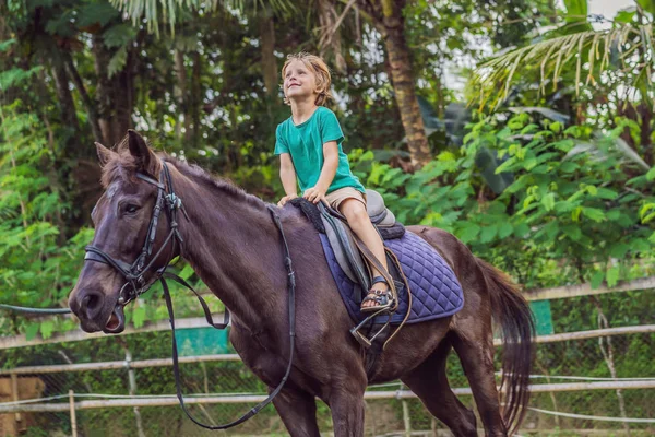 Chico montar a caballo, realizar ejercicios a caballo — Foto de Stock