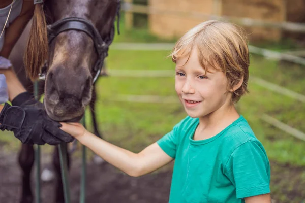 De jongen voedt een paard van een Palm — Stockfoto