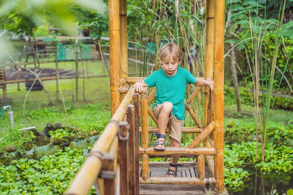 A fiú a bambusz játszótéren. Környezetbarát játszótér — Stock Fotó