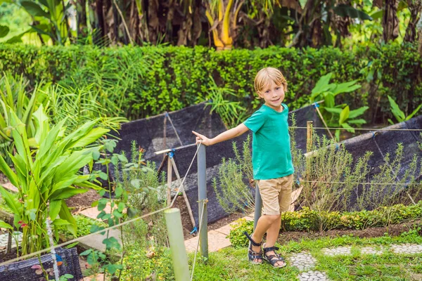 Malý roztomilej kluk v ekologické bio zeleninové zahradě — Stock fotografie