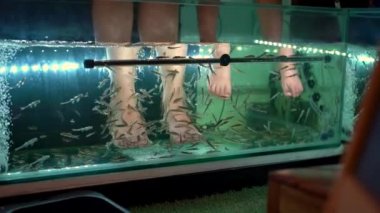 2x kez slowmotion genç bir kadın ve küçük oğlu bir balık spa ziyaret çekim. Kozmetik prosedür balık soyma